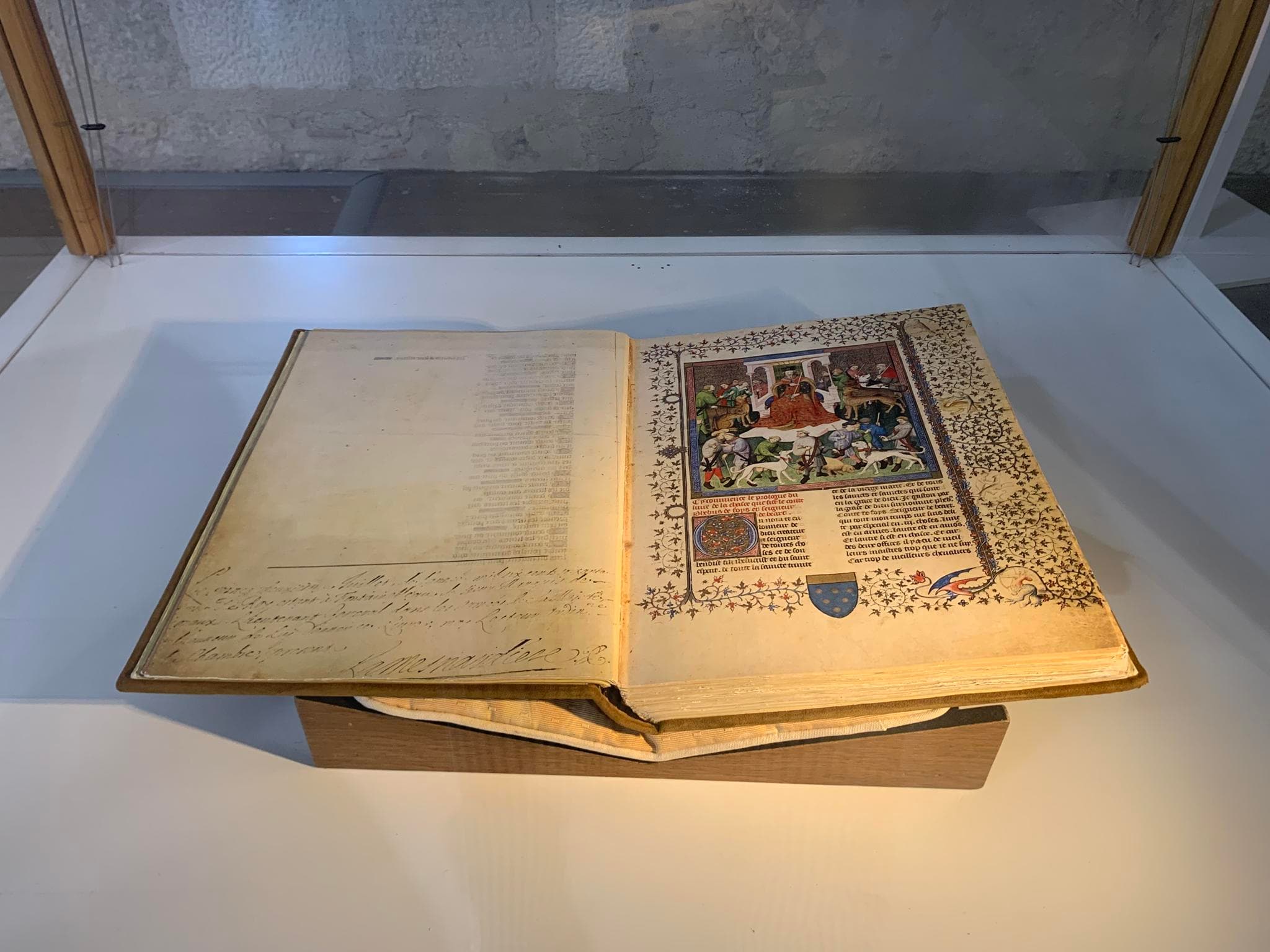 Chateau-moncade-orthez-livre-chasse