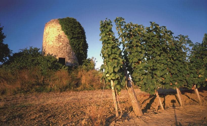 Châteaumolhierepaysagemolhière