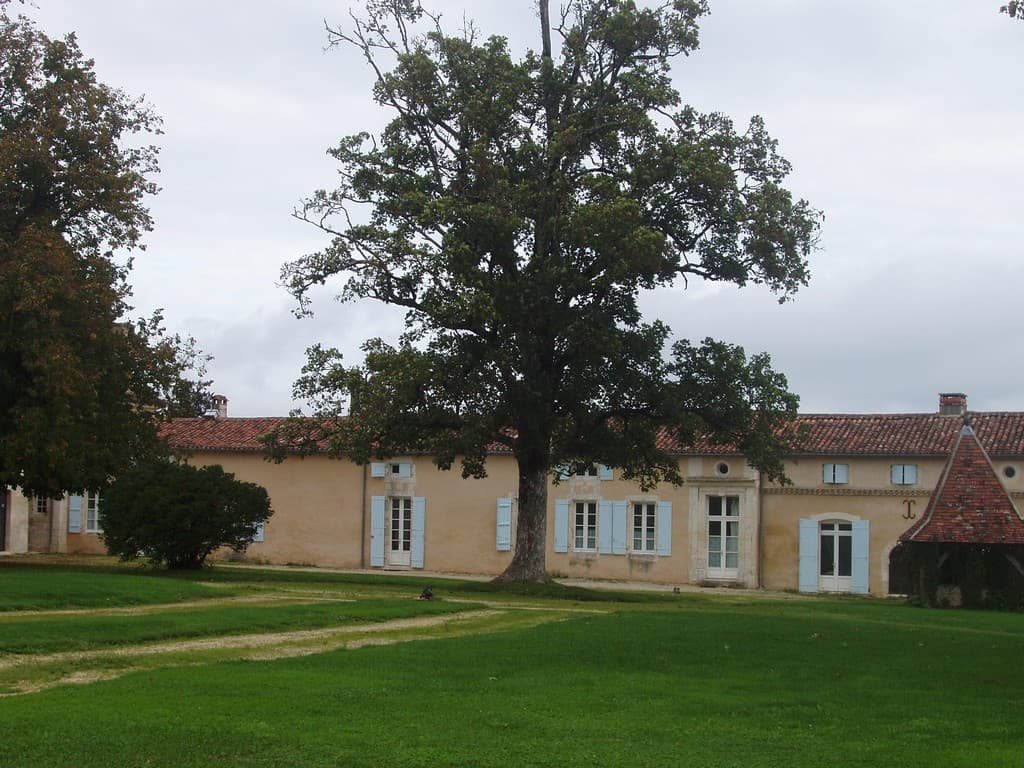 Chaulnes-Bergeronnettes-cour arbre-2