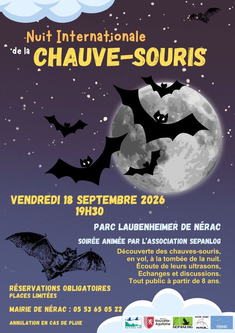 Chauve Souris