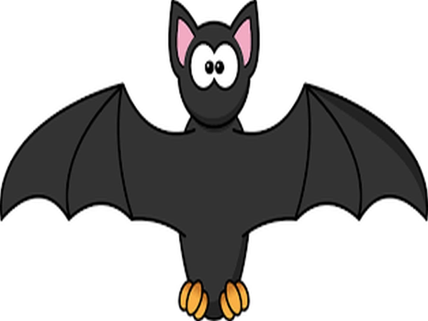 Chauve souris©Pixabay