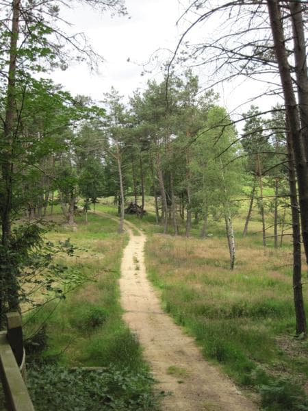 Chemin