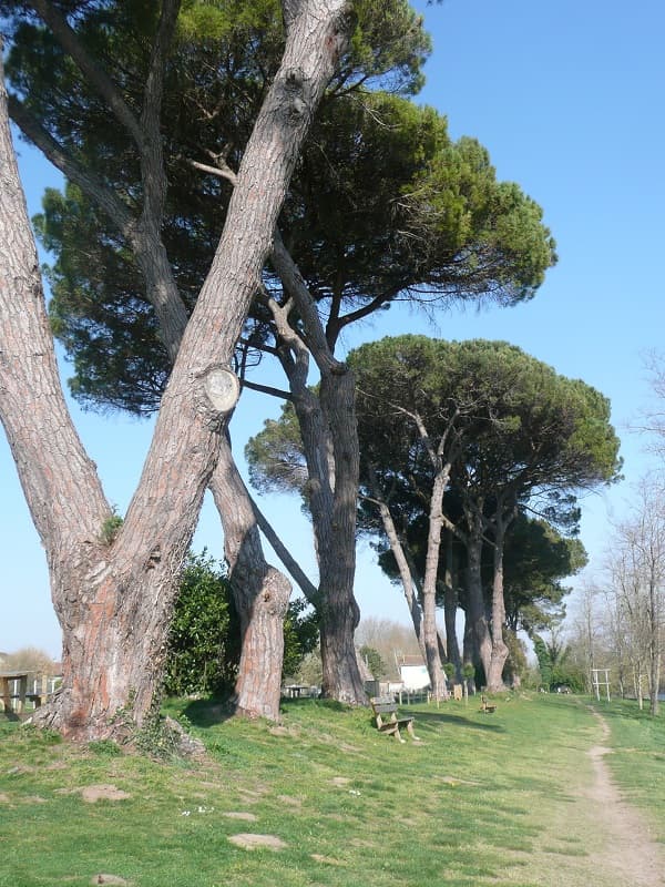Chemin de halage