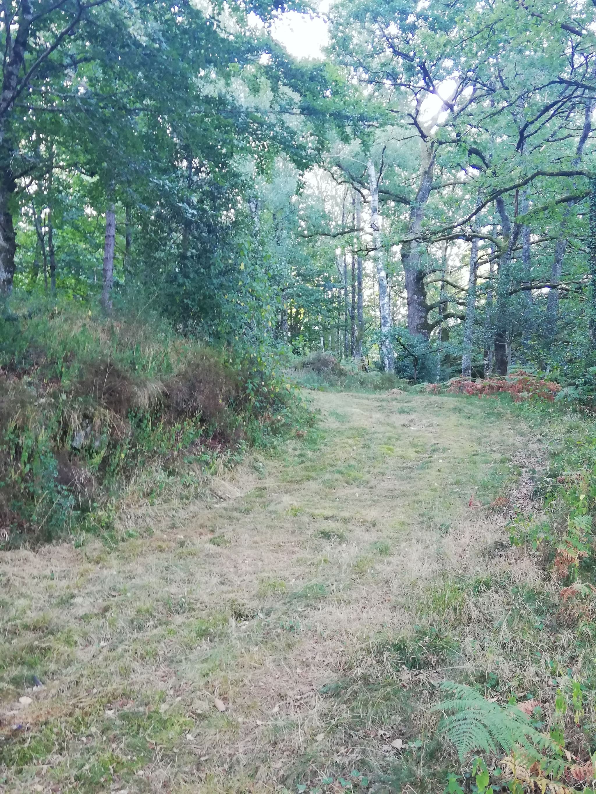 Chemin1