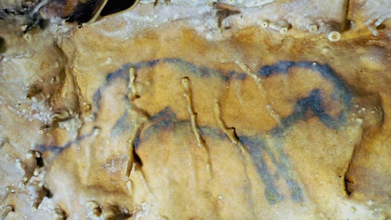 Cheval Bleu GRotte VillarsJMB