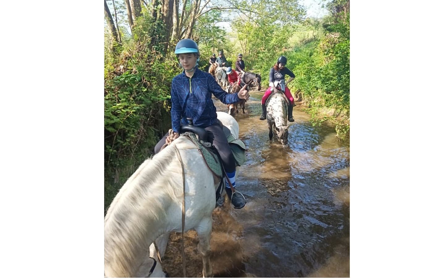 Chevaux d'Iraty ruisseau