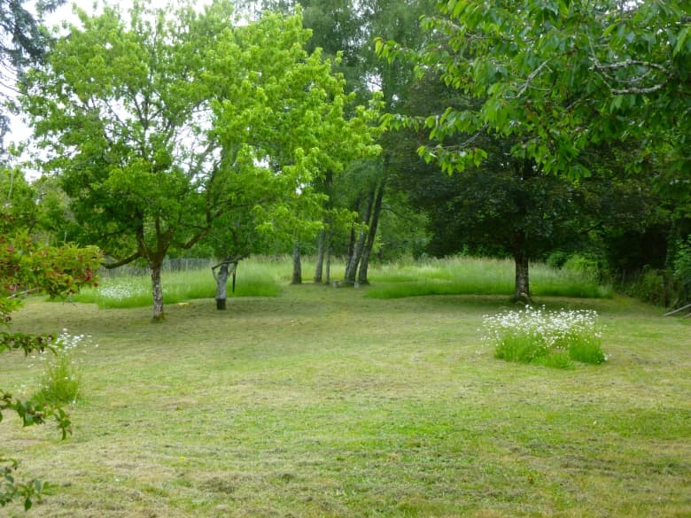 Chez-Mme-Java-jardin