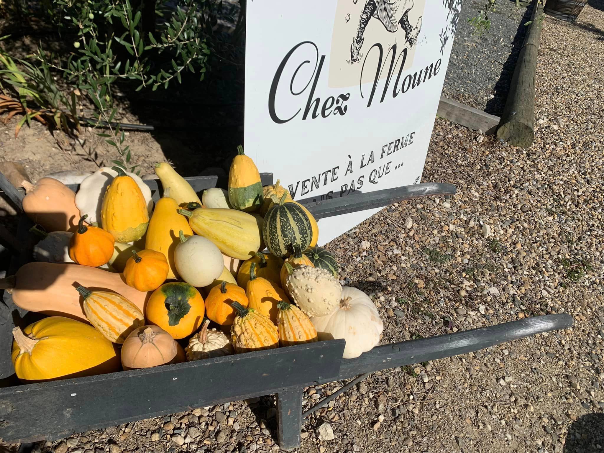 Chez Moune 2022 (6)