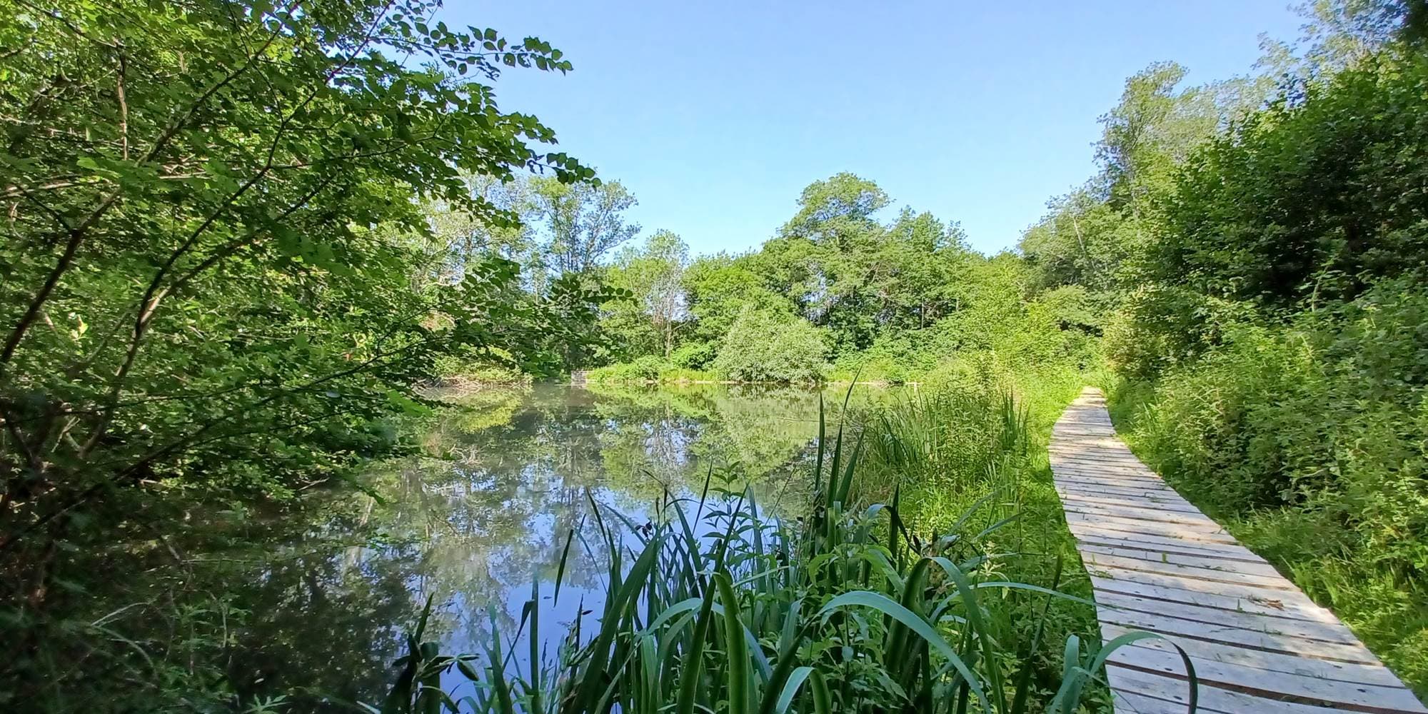 Visite guidée Tourbières