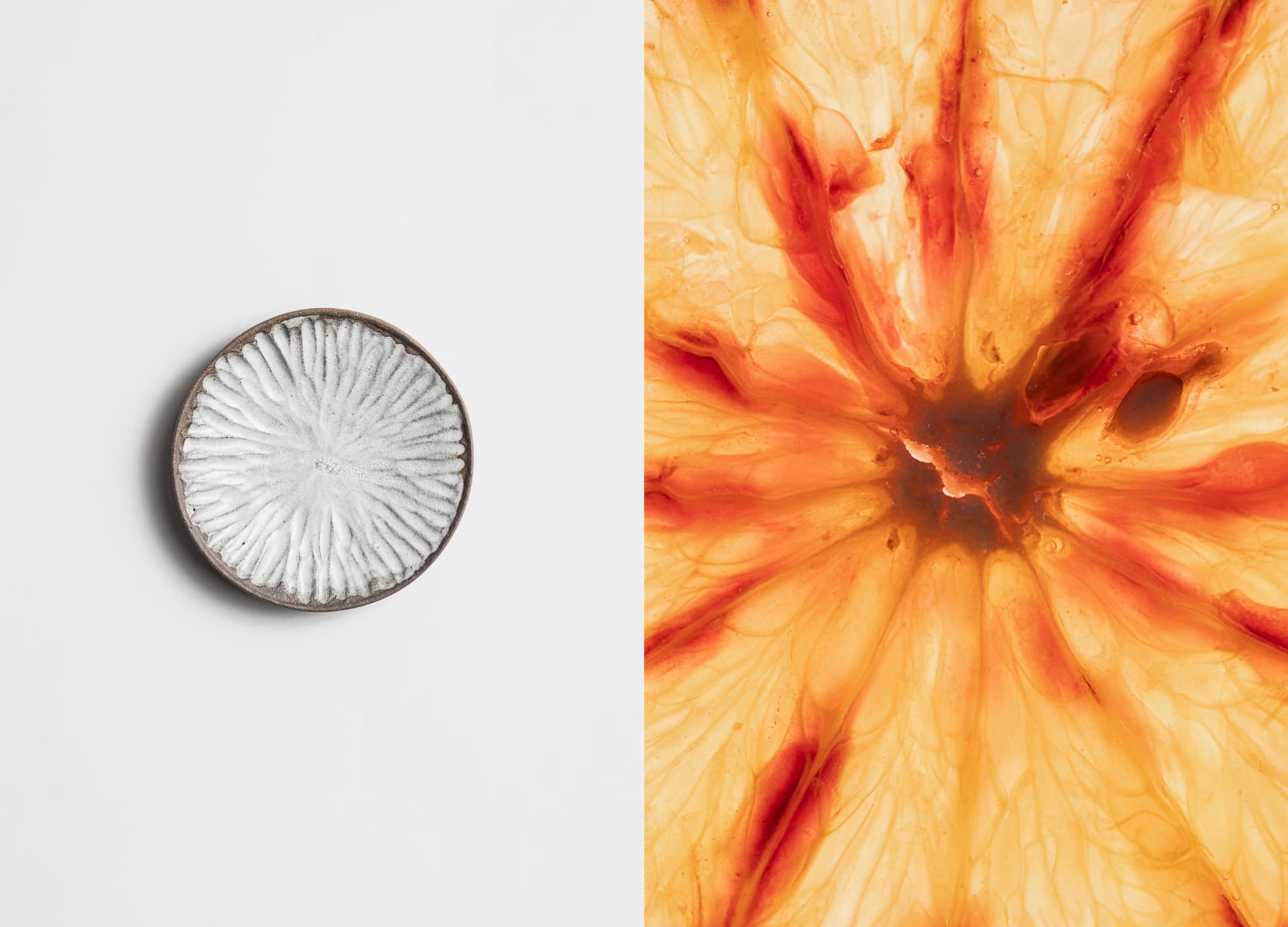 Claire-Schott-céramiste-Landes-diptyque-5