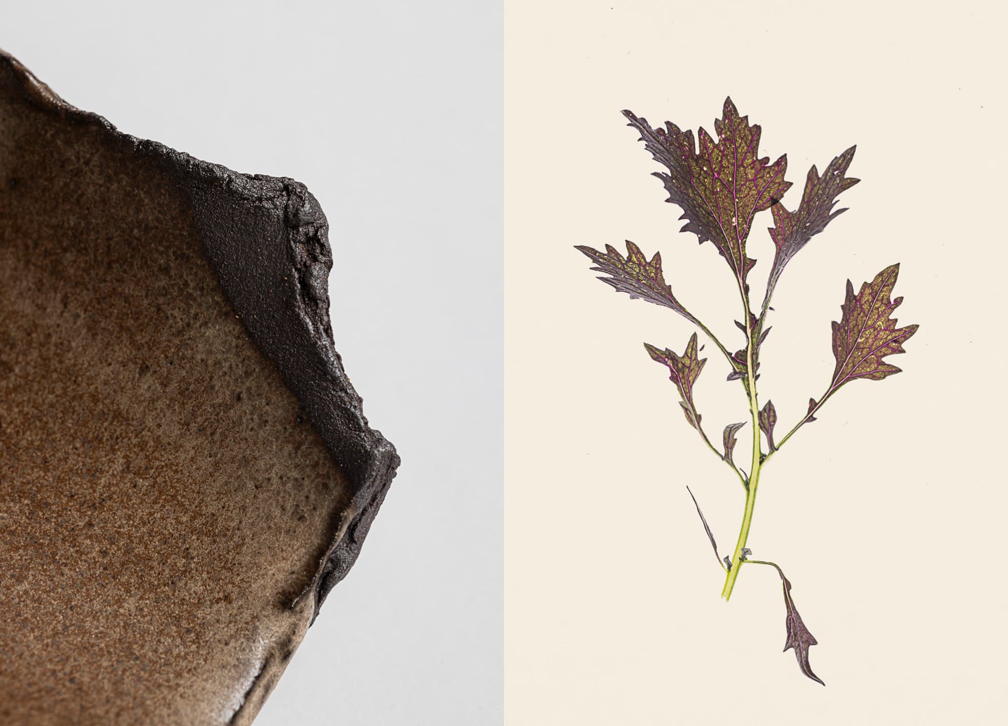 Claire-Schott-céramiste-Landes-diptyque-8
