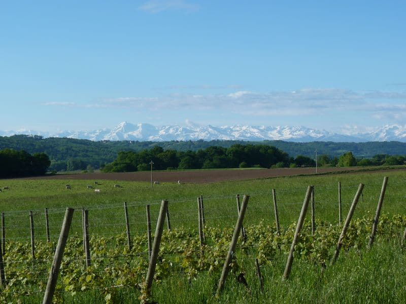 Clos Basté