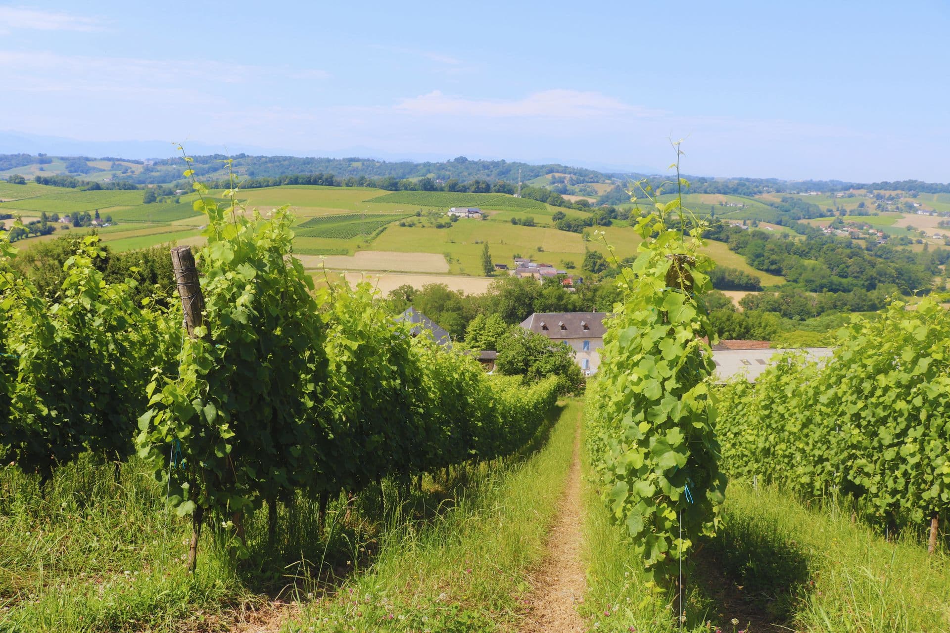 Domaine Peyrette vignoble jurancon cuqueron