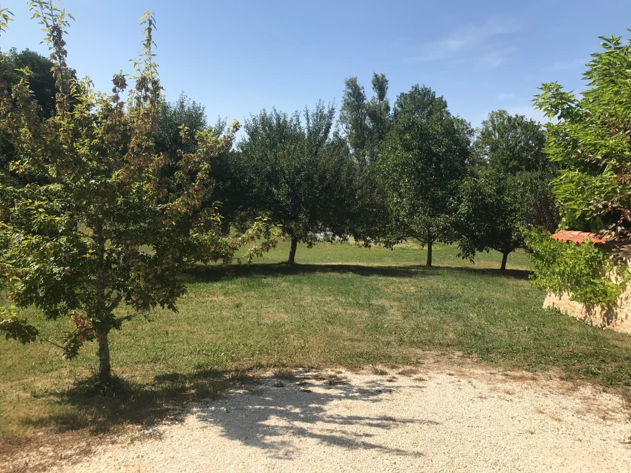 Clos-de-Charroux-parc