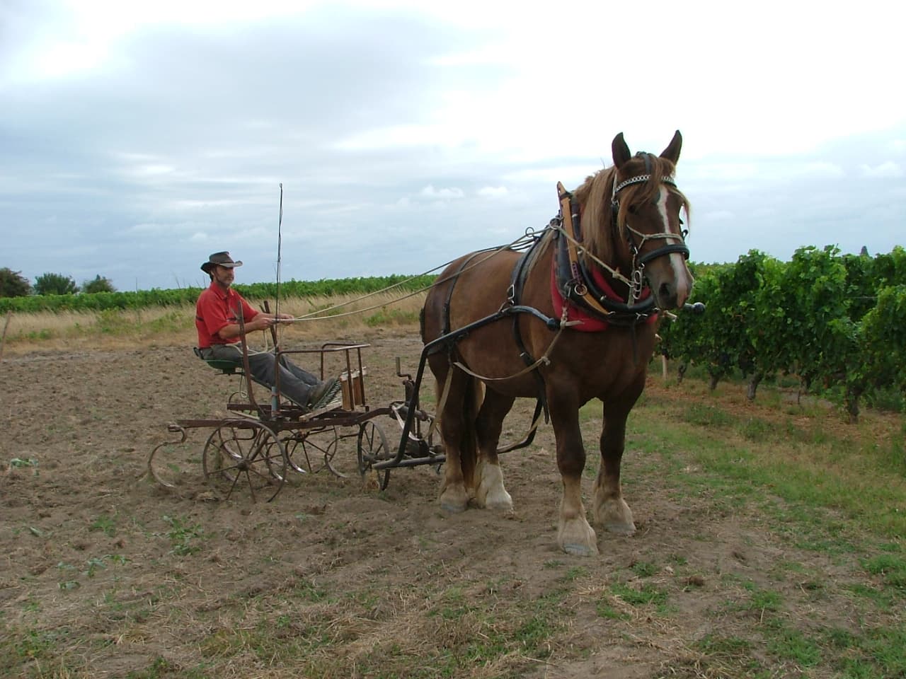 château Clos Grange Vieille 8