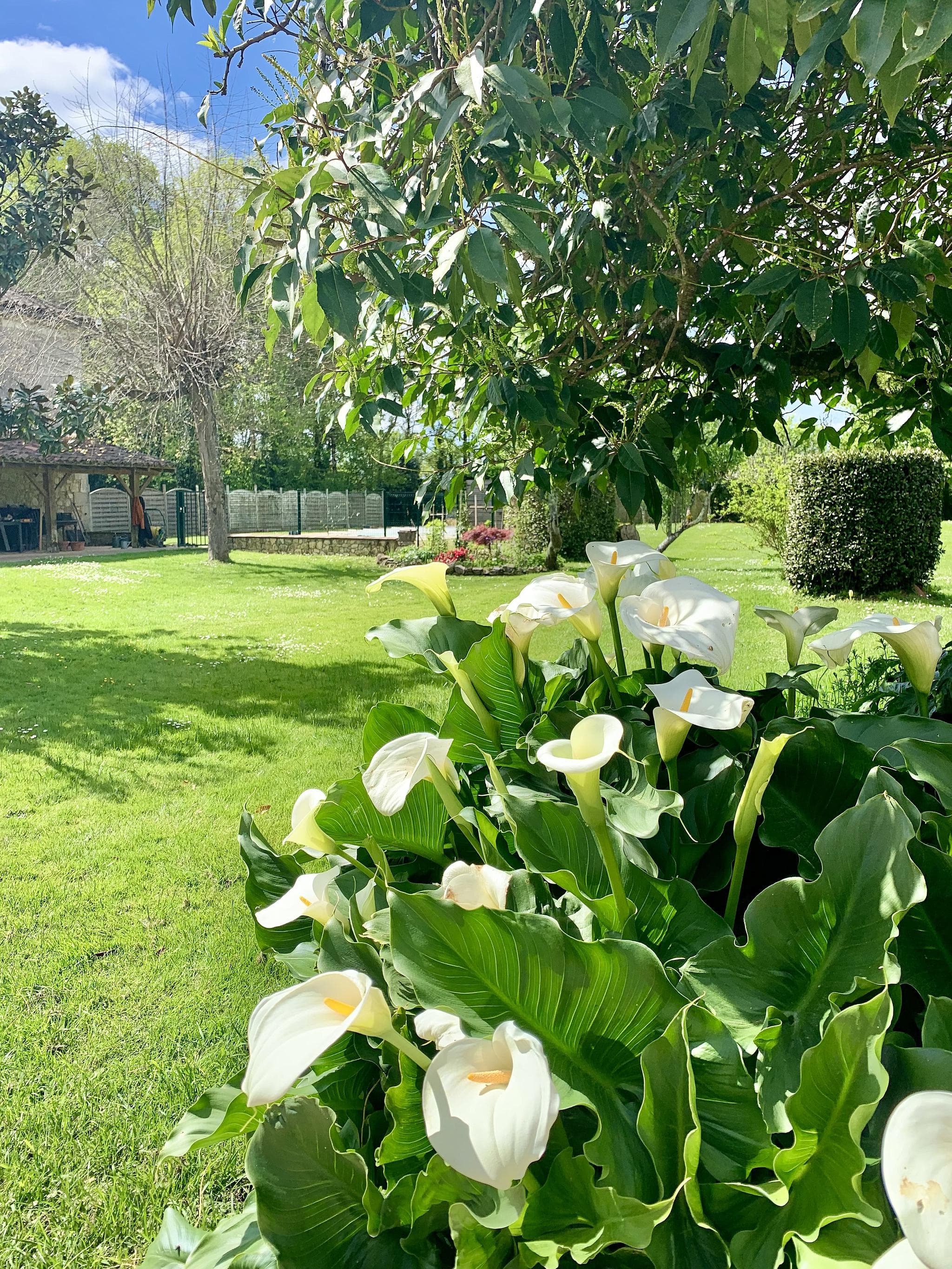 Clos du Benestar-jardin