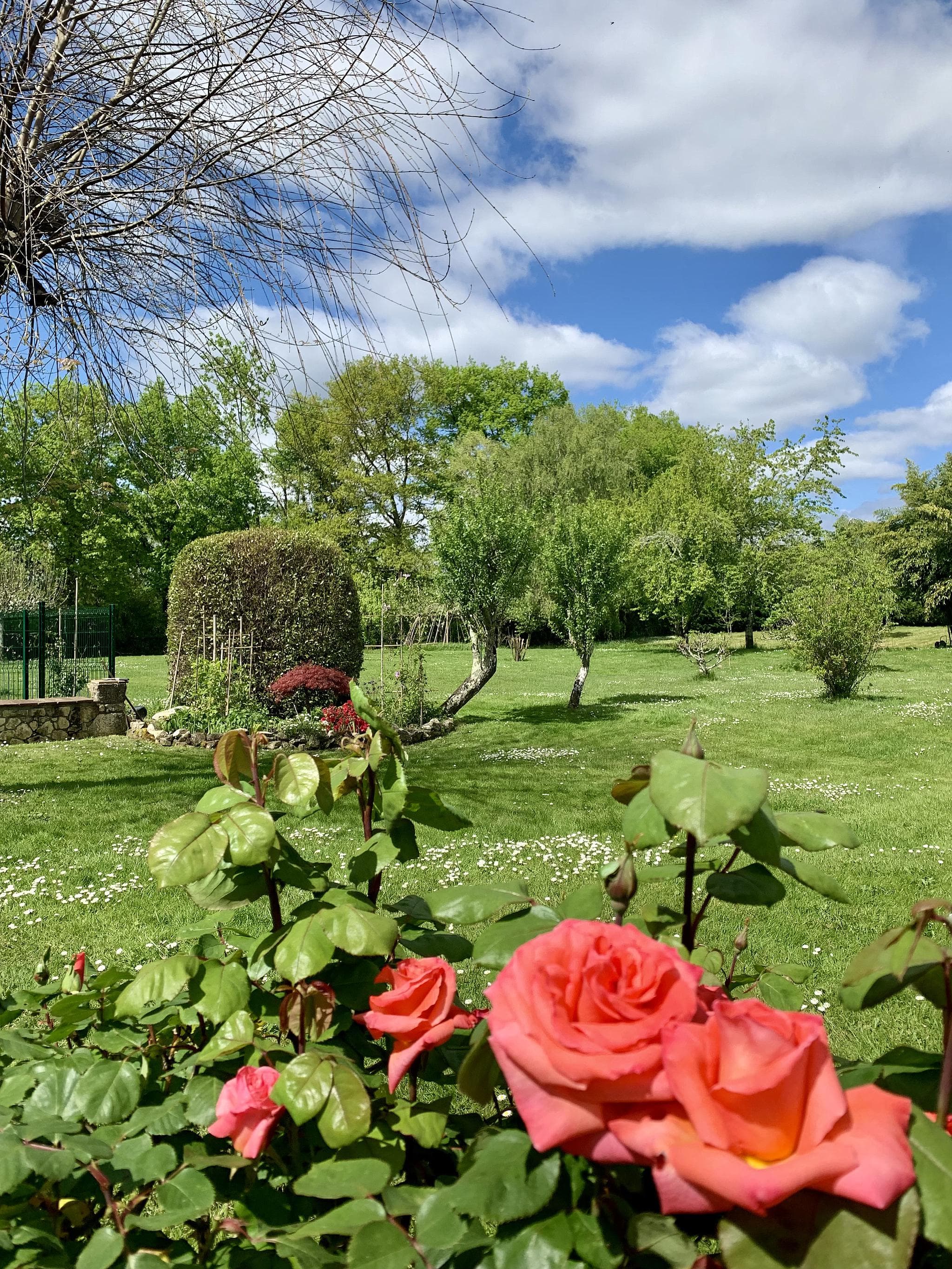 Clos du Benestar-jardin2