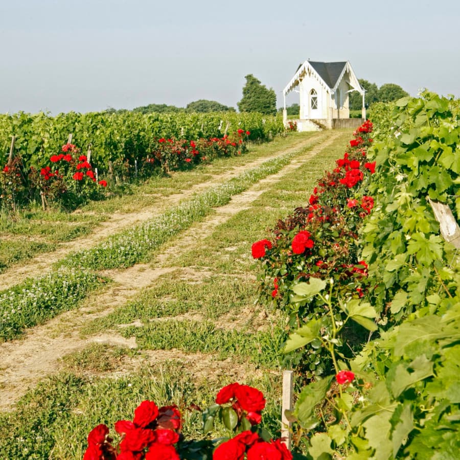 Clos du notaire