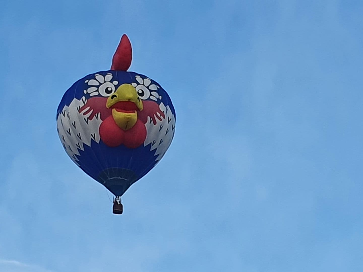 Lourenties, Sud Ouest Montgolfière Cocky