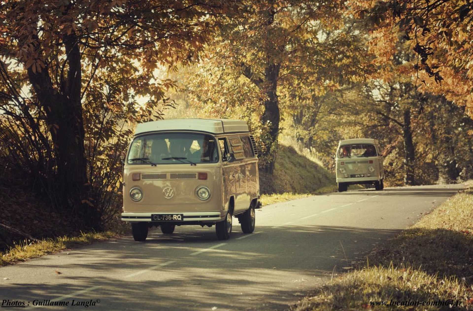 Combis vans2