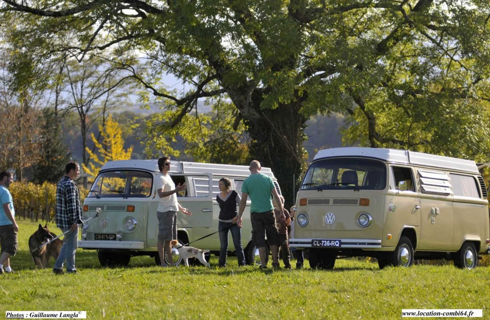 Combis vans3