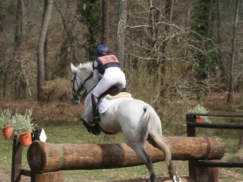 Concours équitation Casteljaloux
