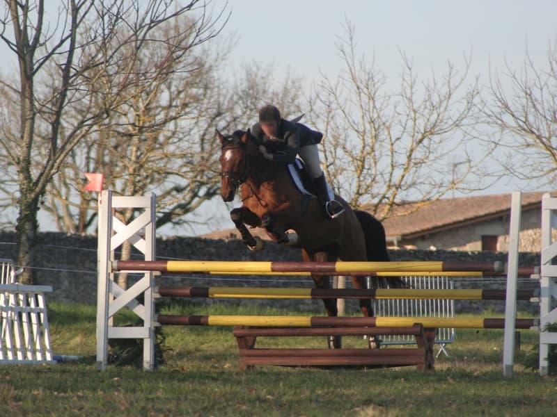 Concours équitation Casteljaloux