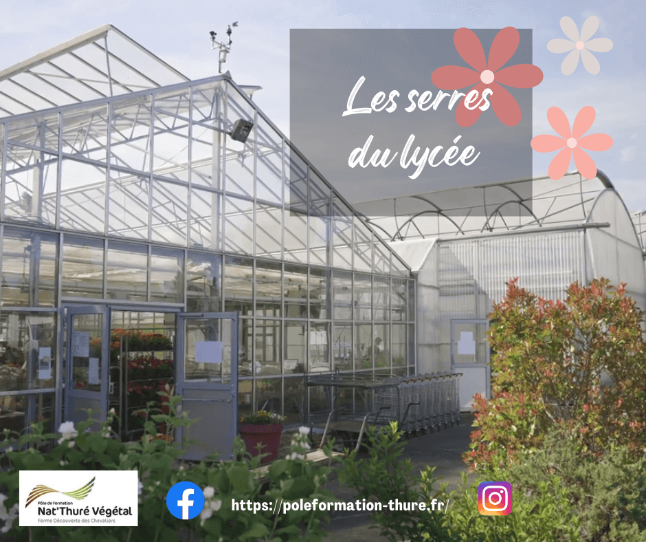 Serres du lycée