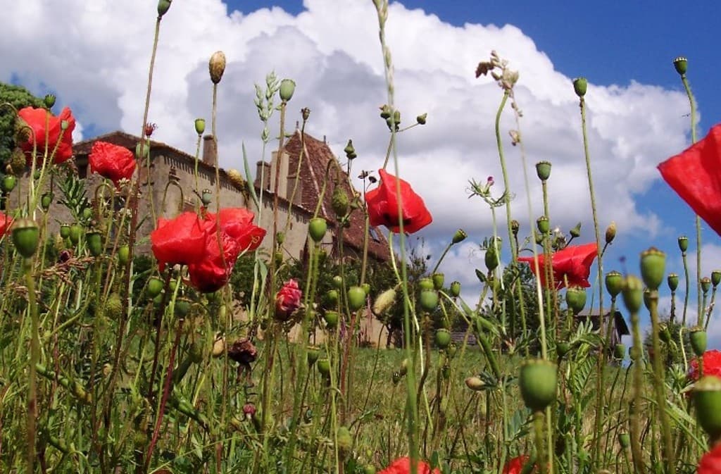 Ferme de tandou
