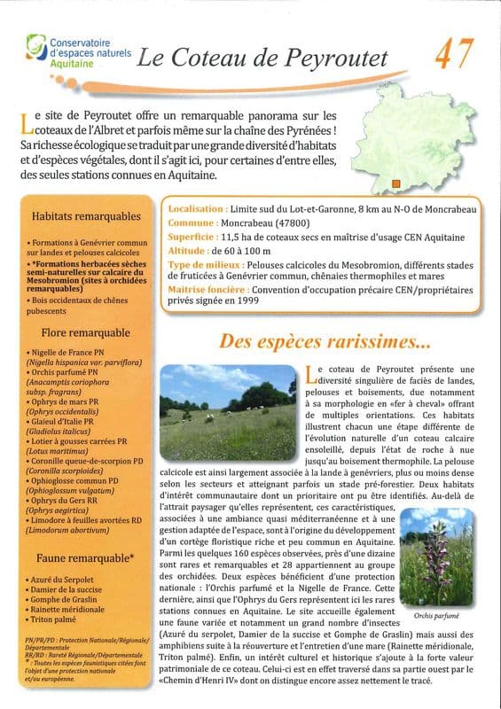 Coteau de Peyroutet doc