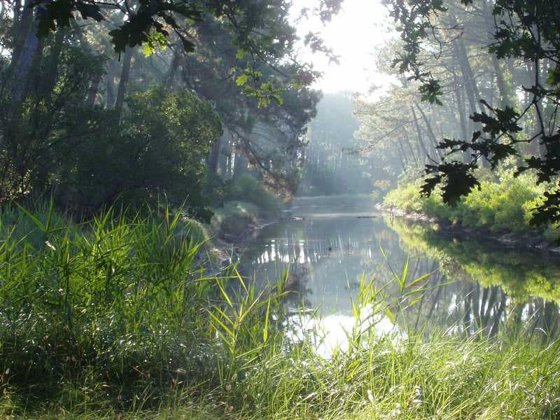 Couloirs d'eau verdoyants et illuminés