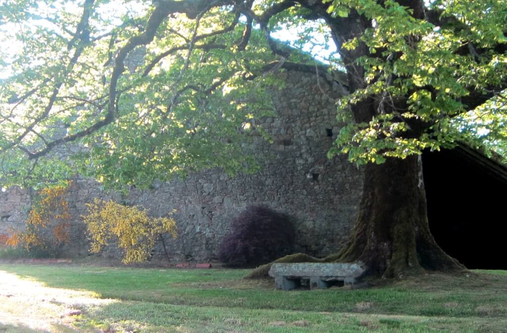 Cour 1 - Sirtaqui