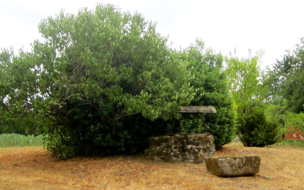 Cour 2 - Sirtaqui
