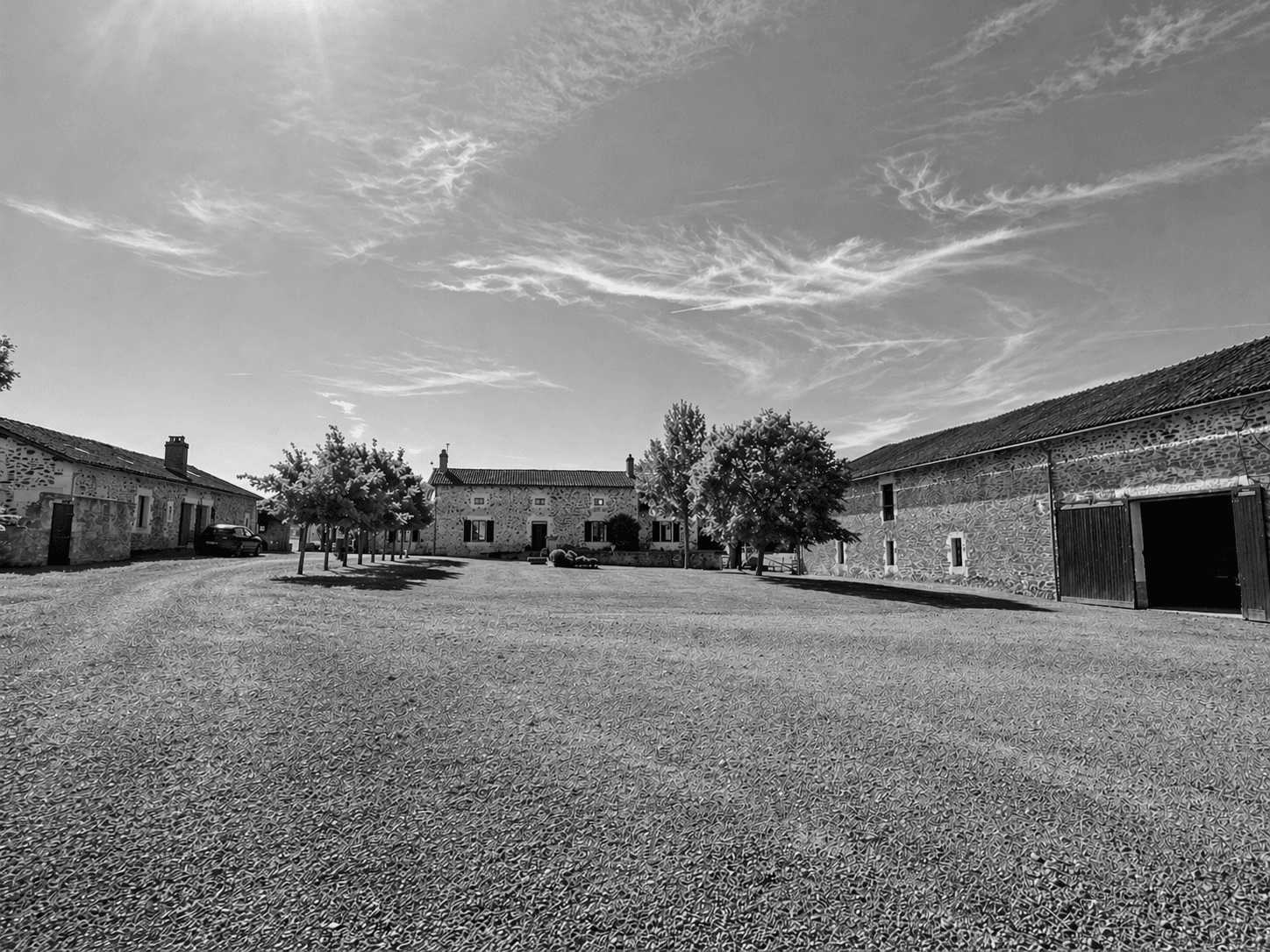 LA COUR