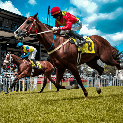 Course hippique