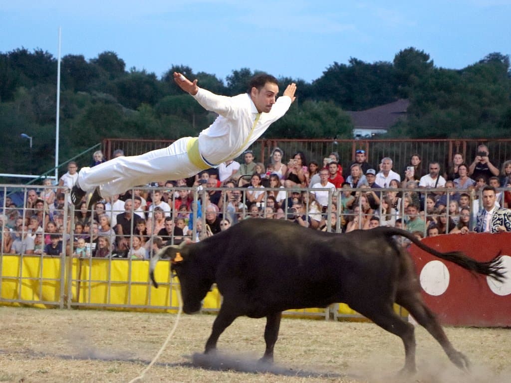 Course-landaise