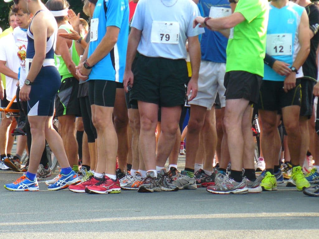 Courses du Seignanx