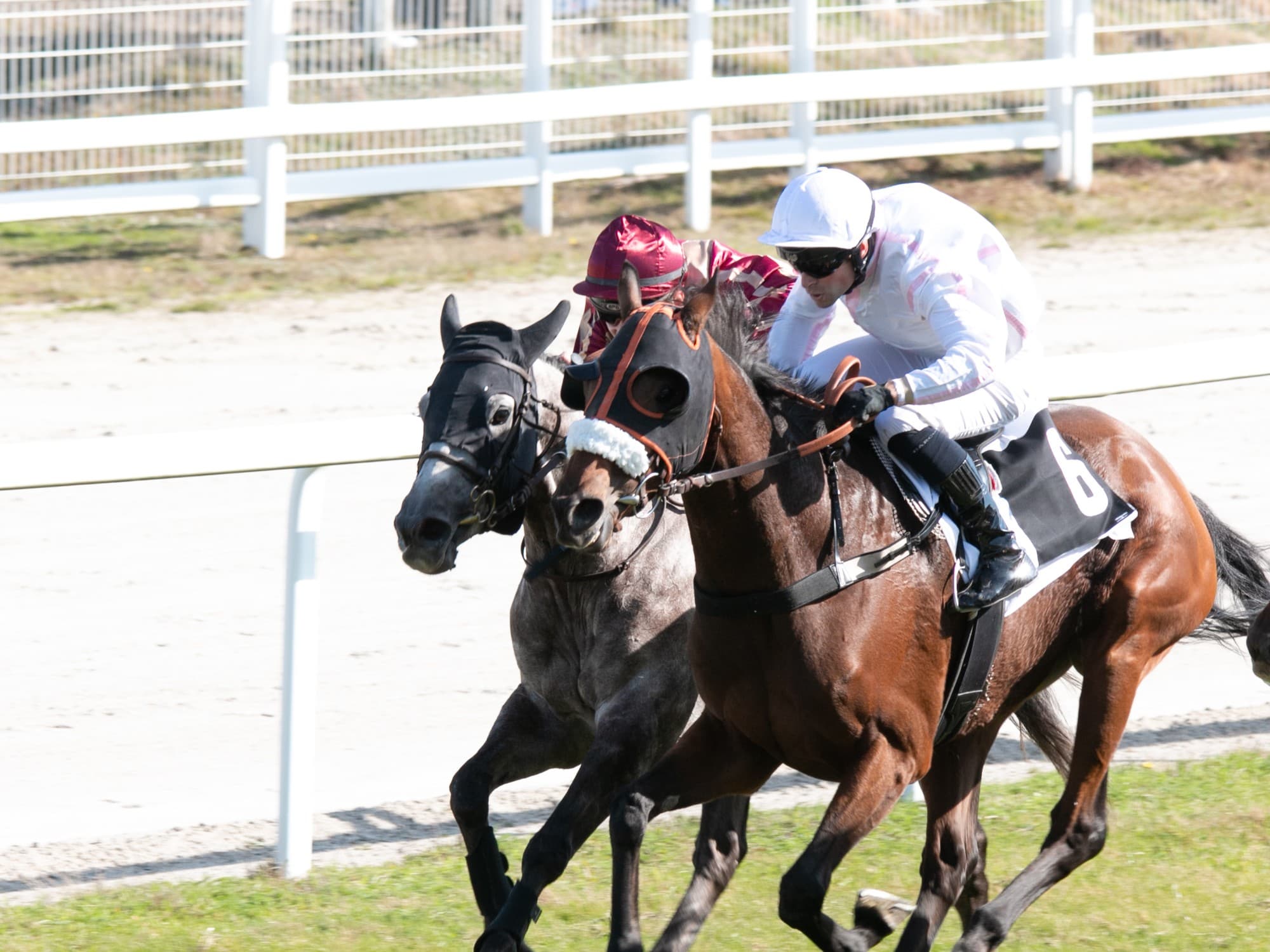 Couzeix - Hippodrome