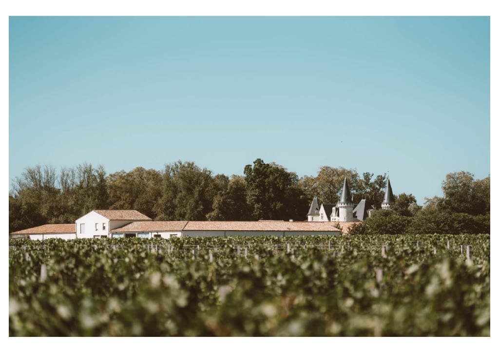 Vignoble