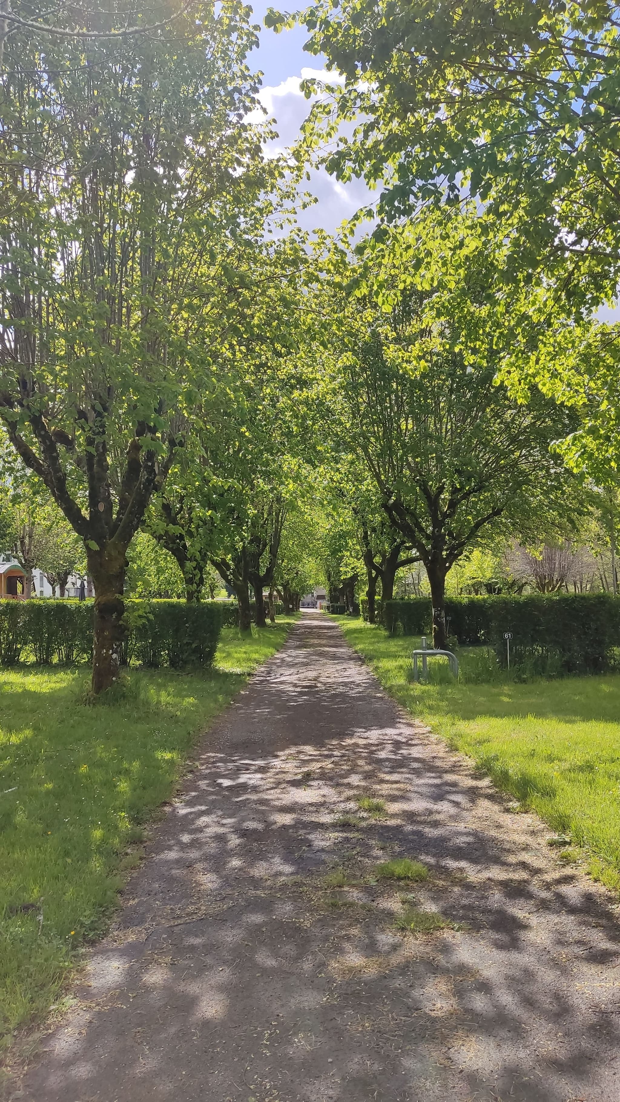 Camping de Beaufort - Allée