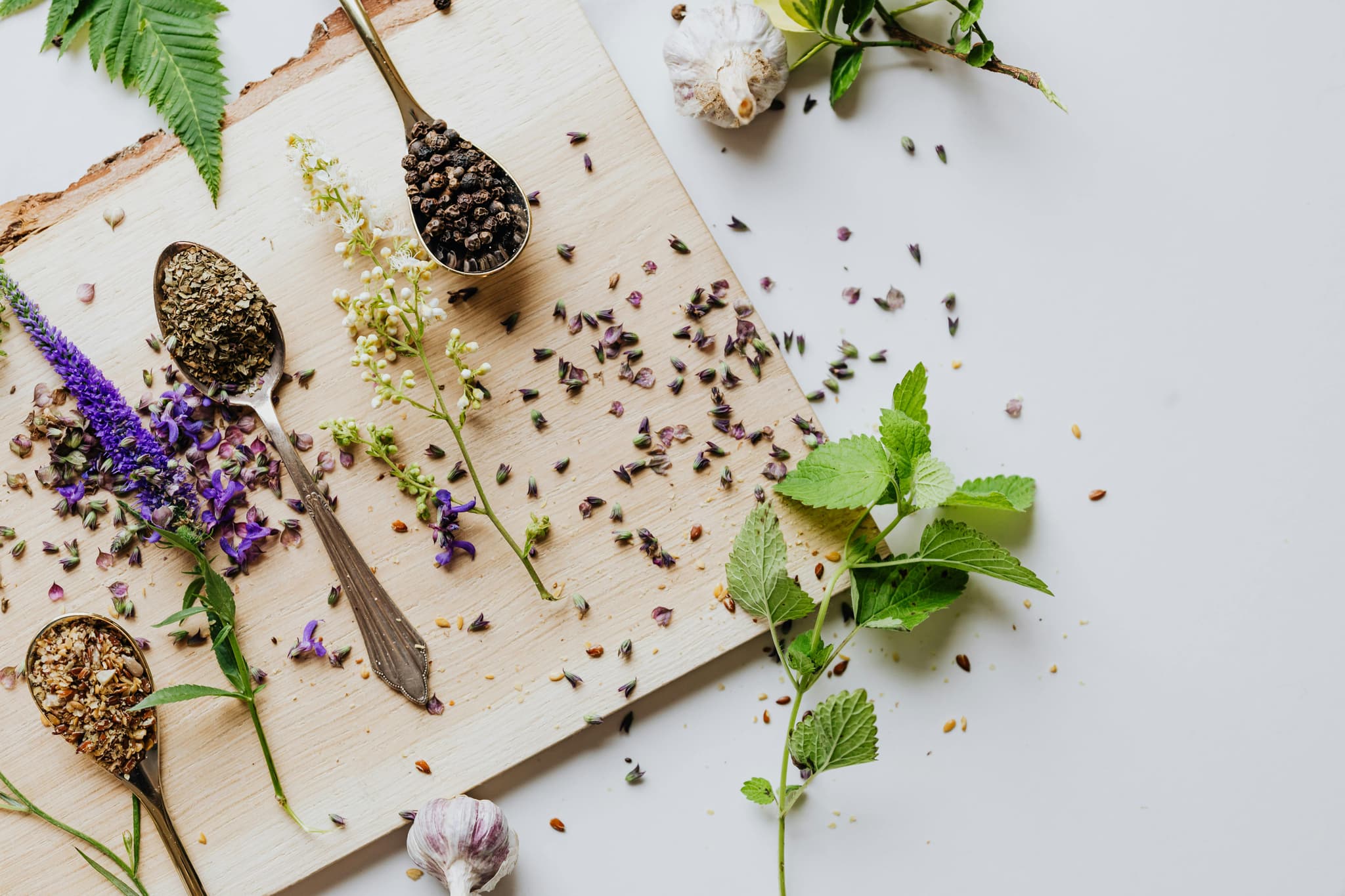 Cuisine-herbes-sauvages-CPIE