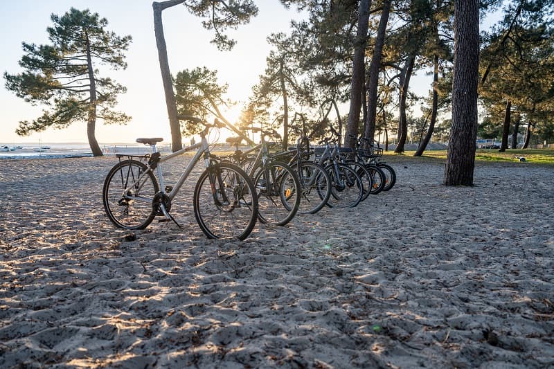 Cycles Delort