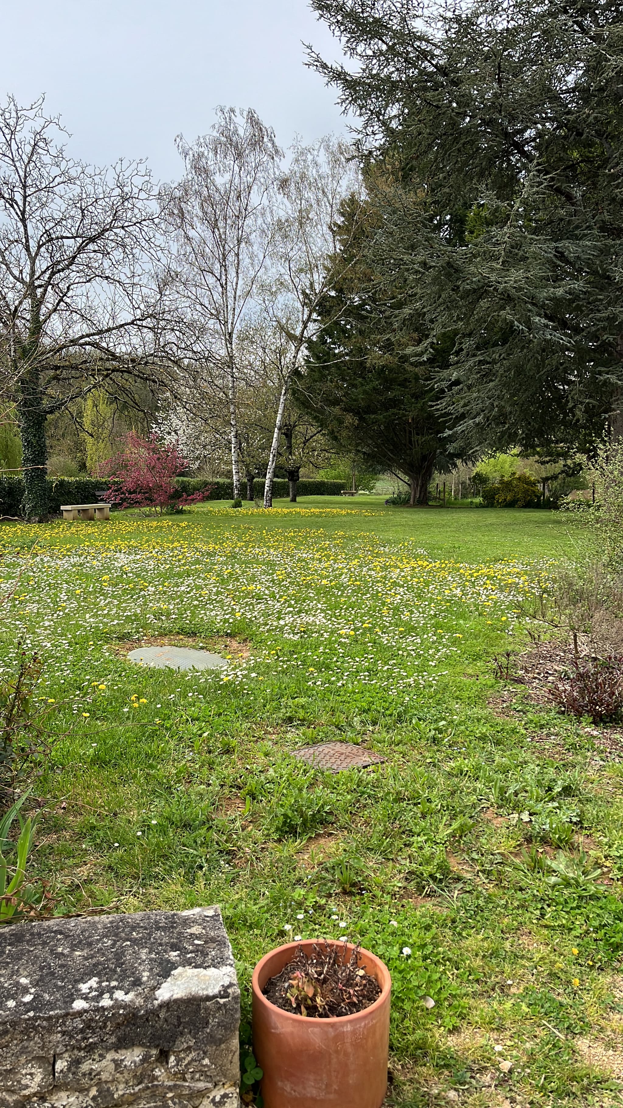 Jardin