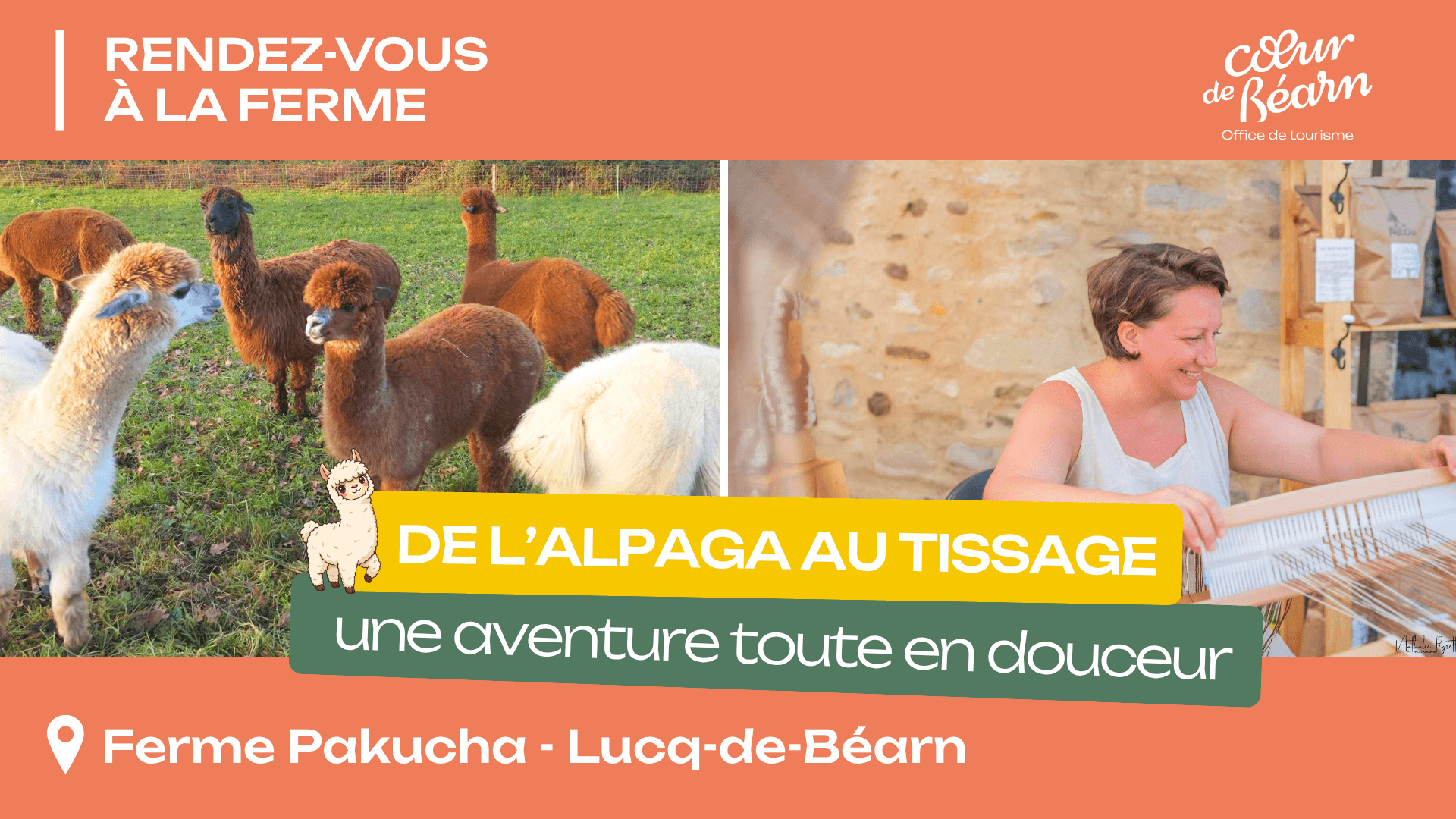 GABARIT HEADER SITE WEB - DE L'ALPAGA AU TISSAGE