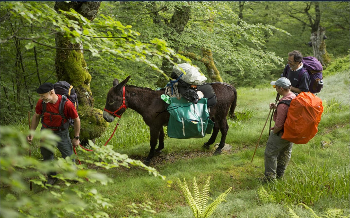 Txomin accompagnateur soule pays basque