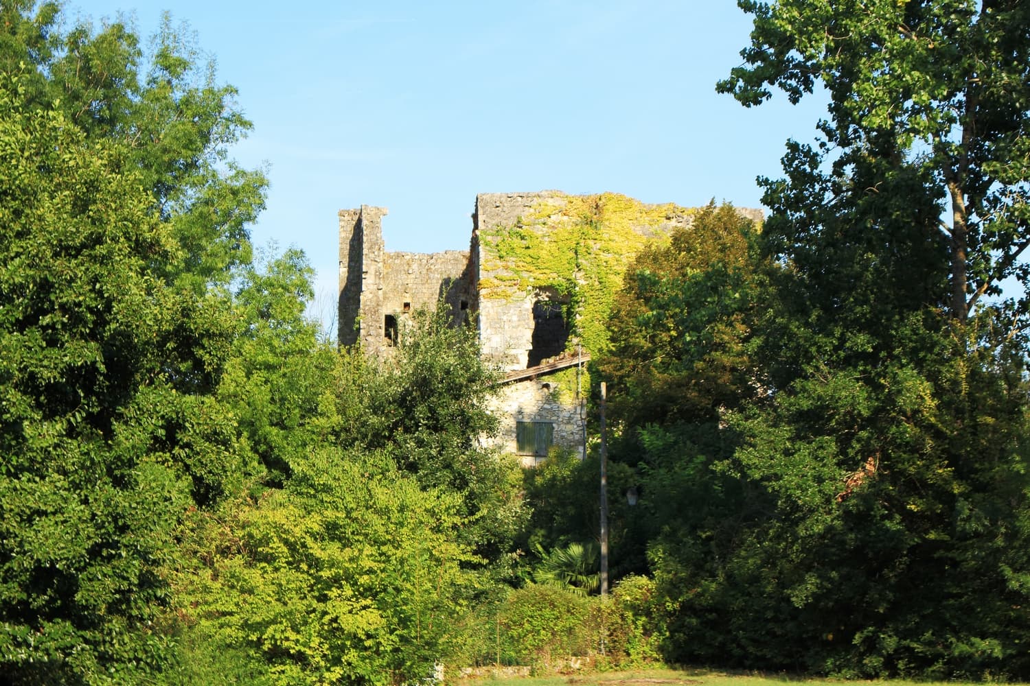 DPP_0094AlbretTourisme37