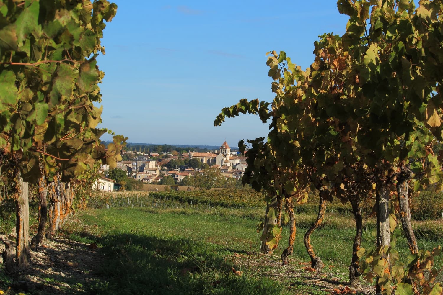 DPP_11 © Albret Tourisme