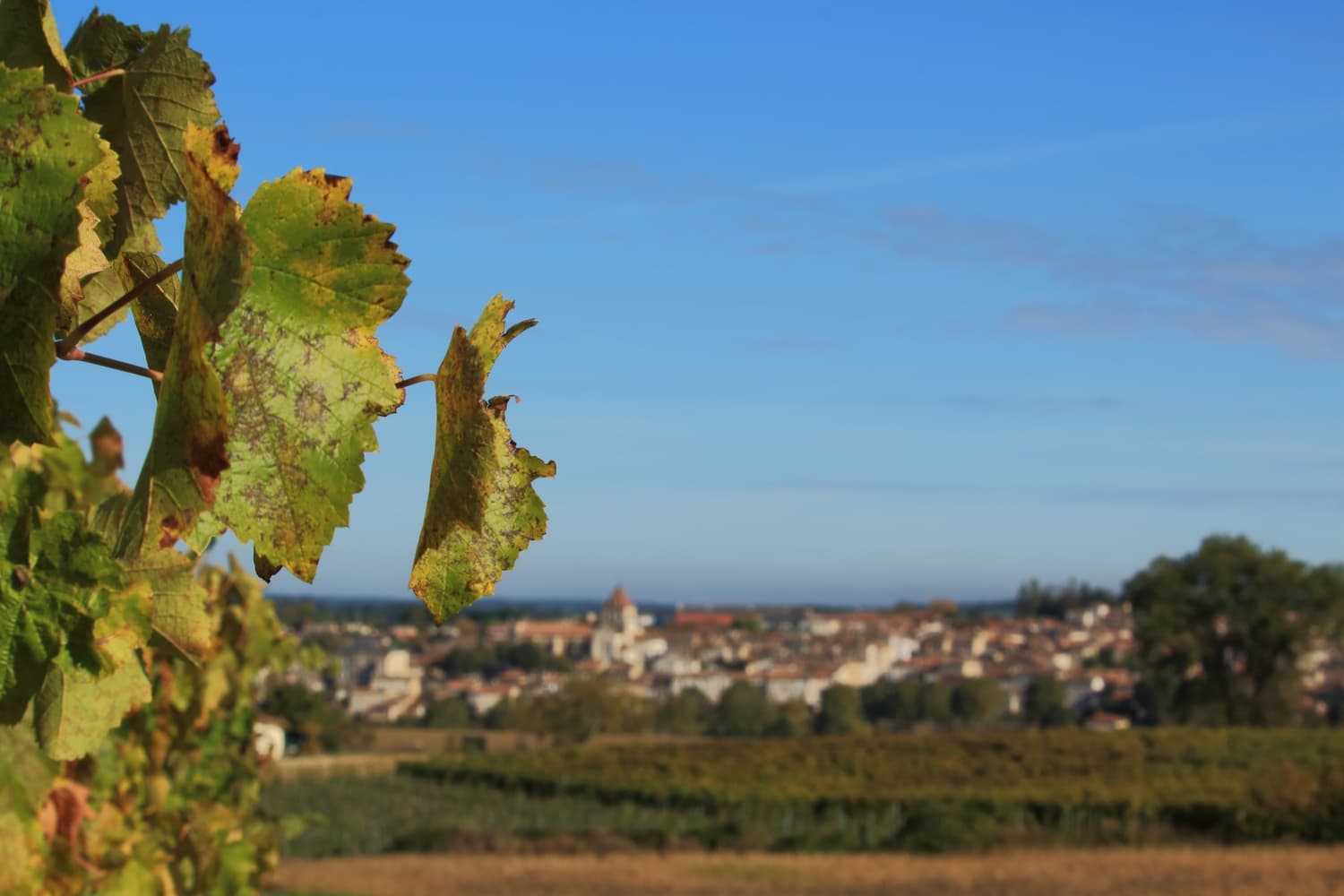 DPP_12 © Albret Tourisme