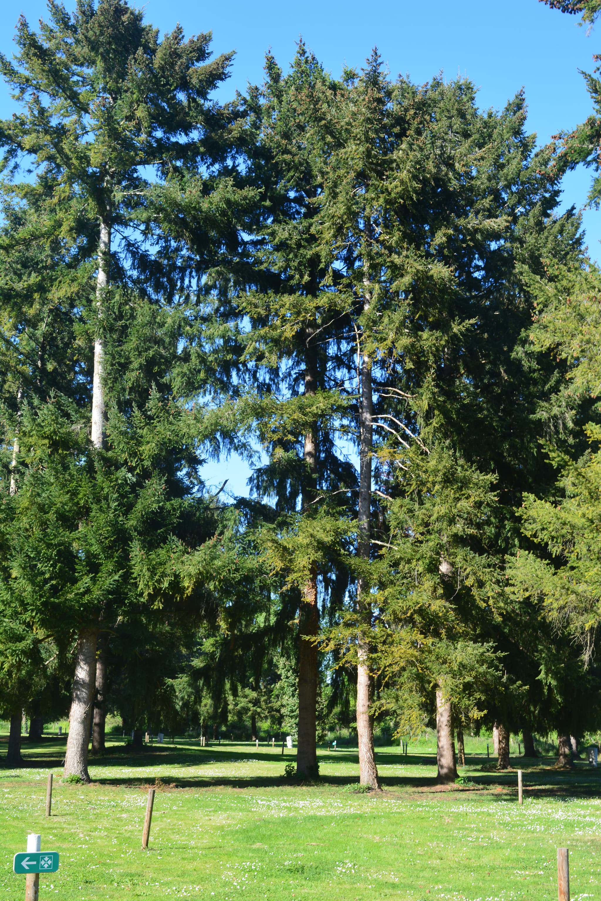 DSC_0006