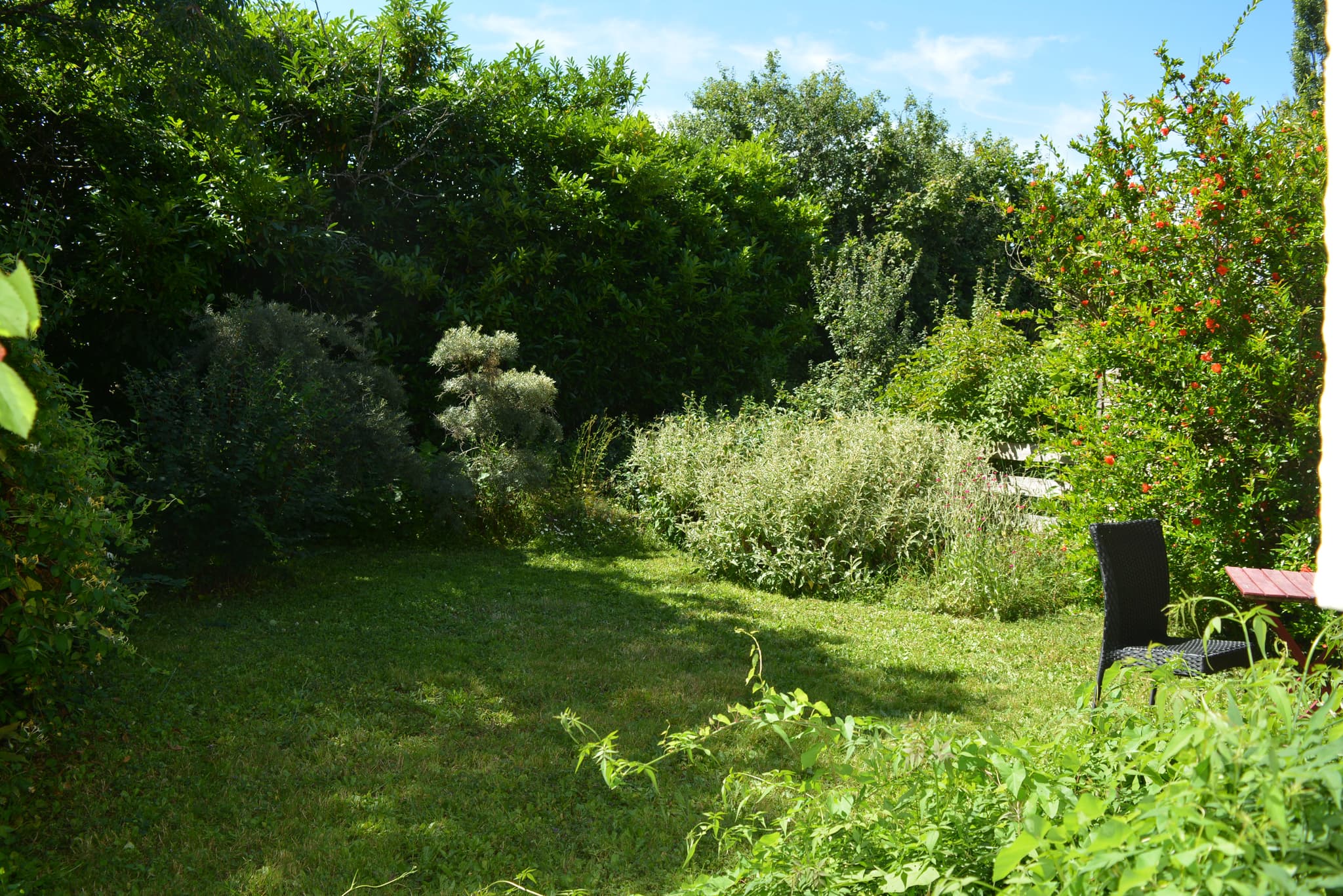 Le jardin privatif clos de la porte bleue
